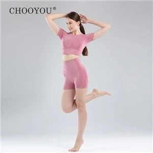 Women's Seamless Yoga Short Sleeve Top And Short Set